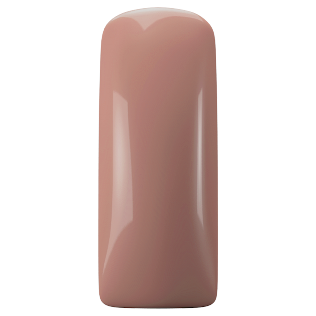 Magnetic Blushes Color