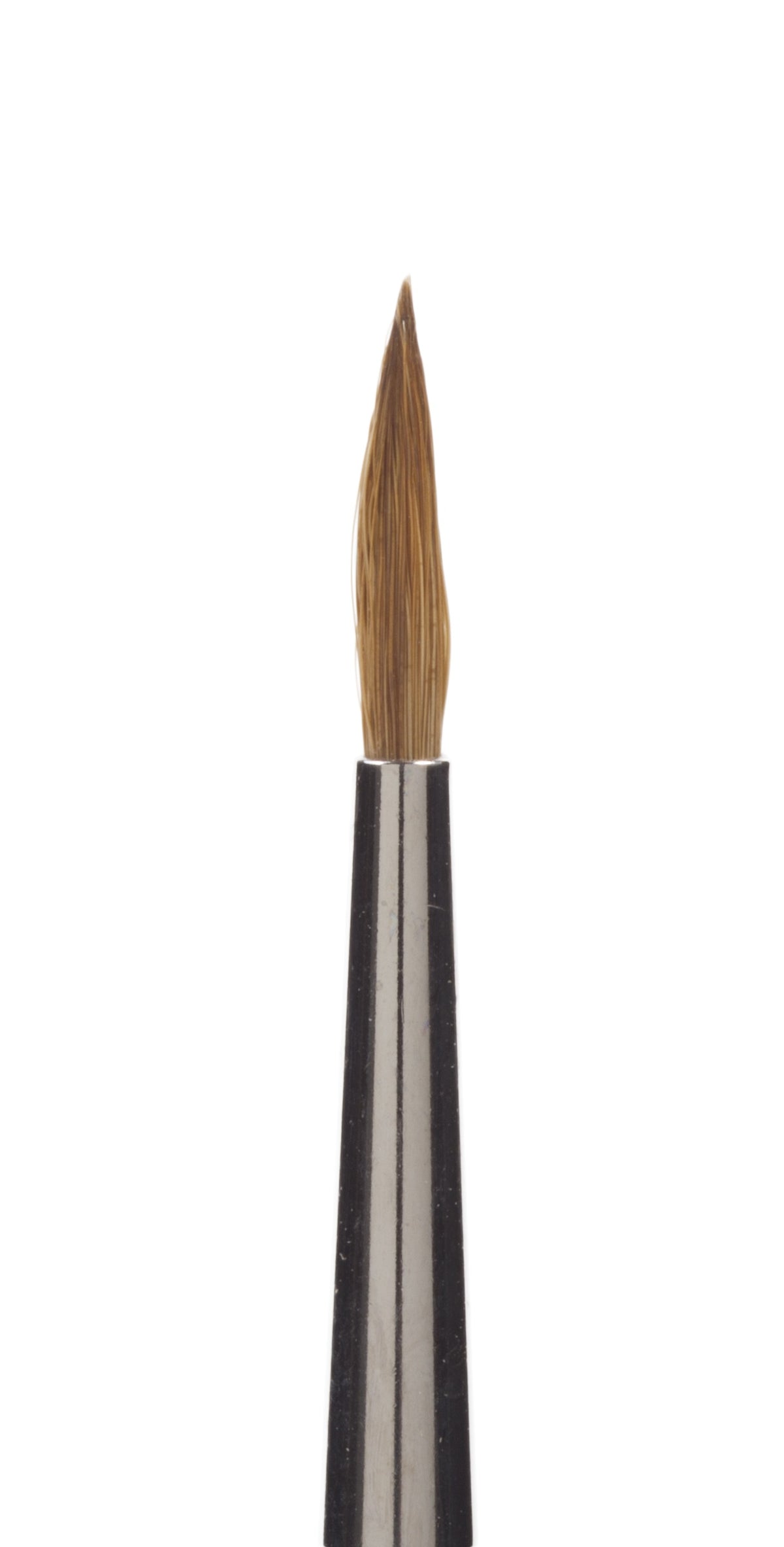 Set The Detailers Brush