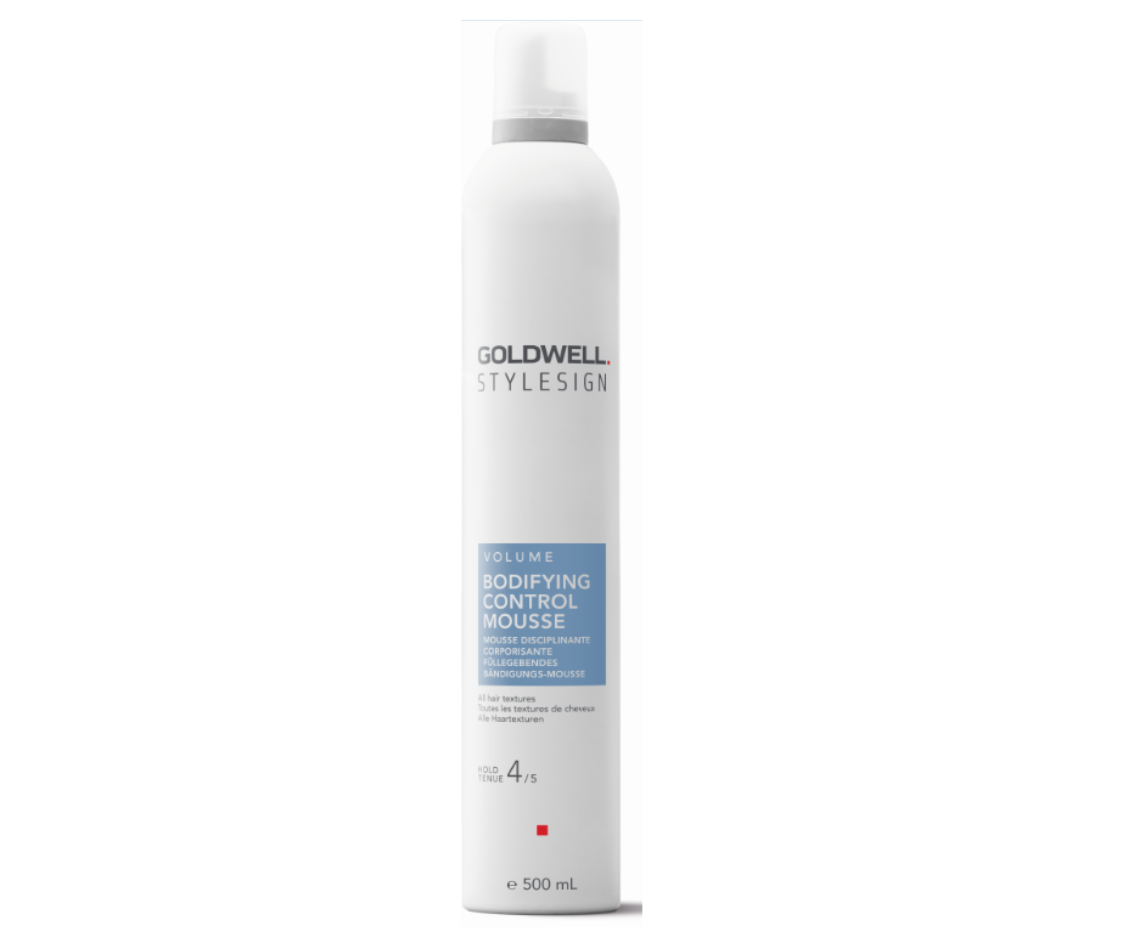 StyleSign Volume Bodifying Control Mousse