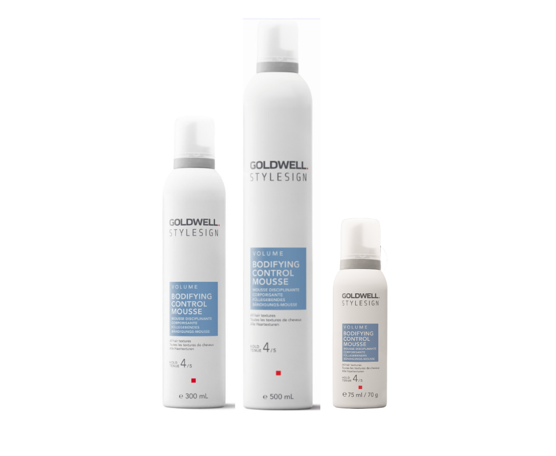 StyleSign Volume Bodifying Control Mousse