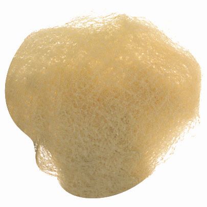 Filet à cheveux