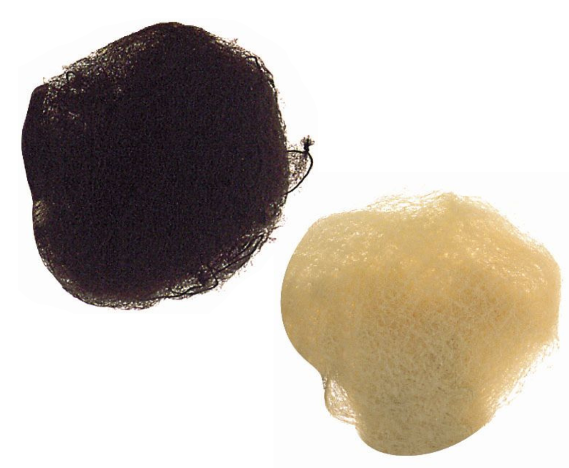 Filet à cheveux