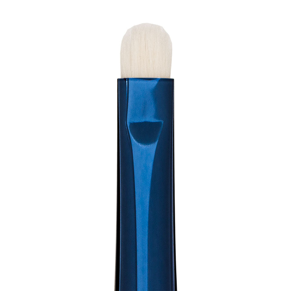 Blue Master