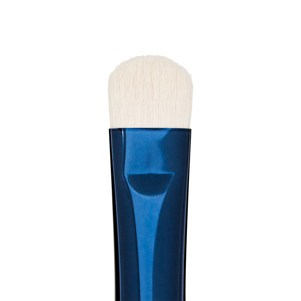 Blue Master