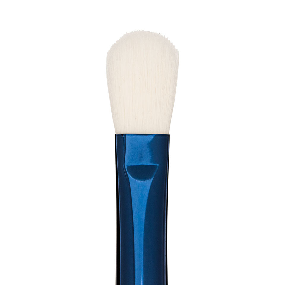 Blue Master