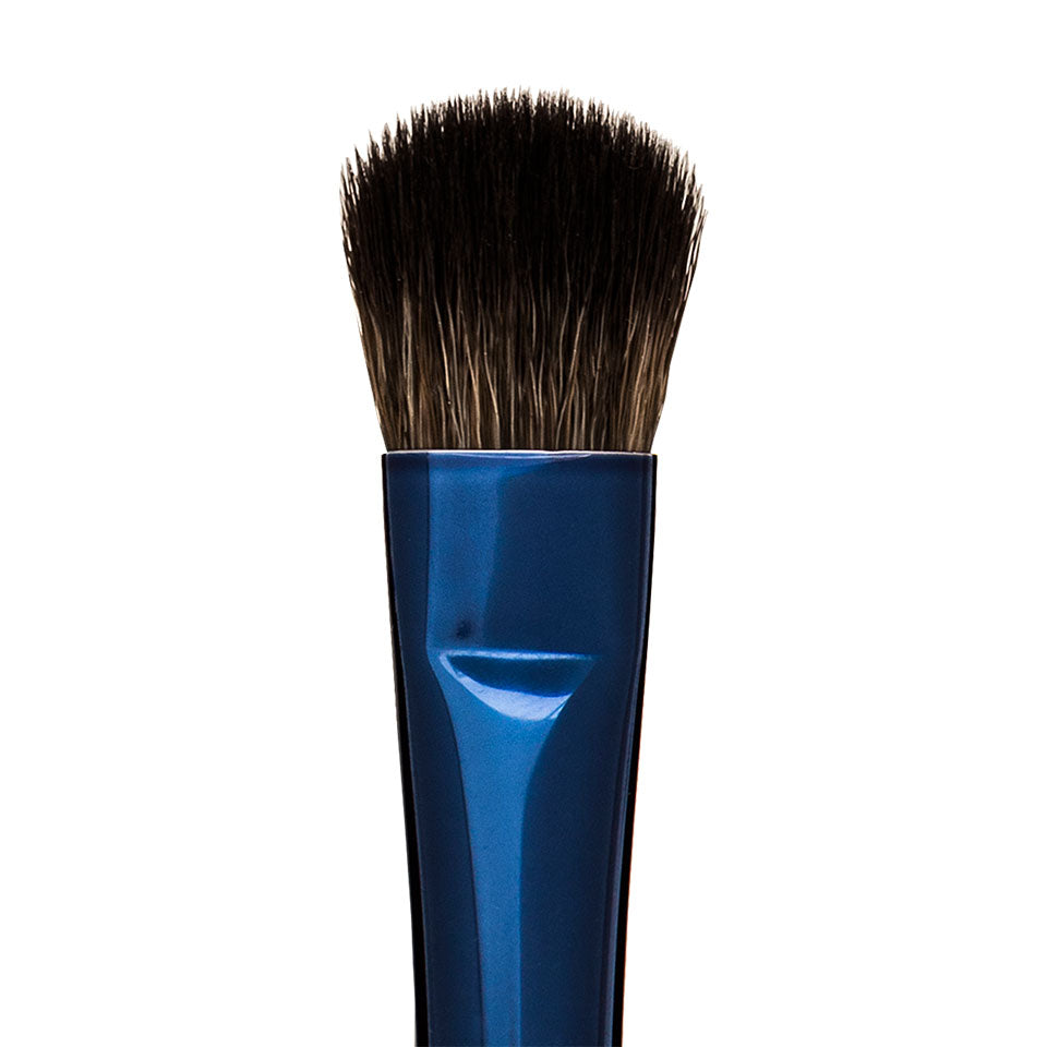 Blue Master