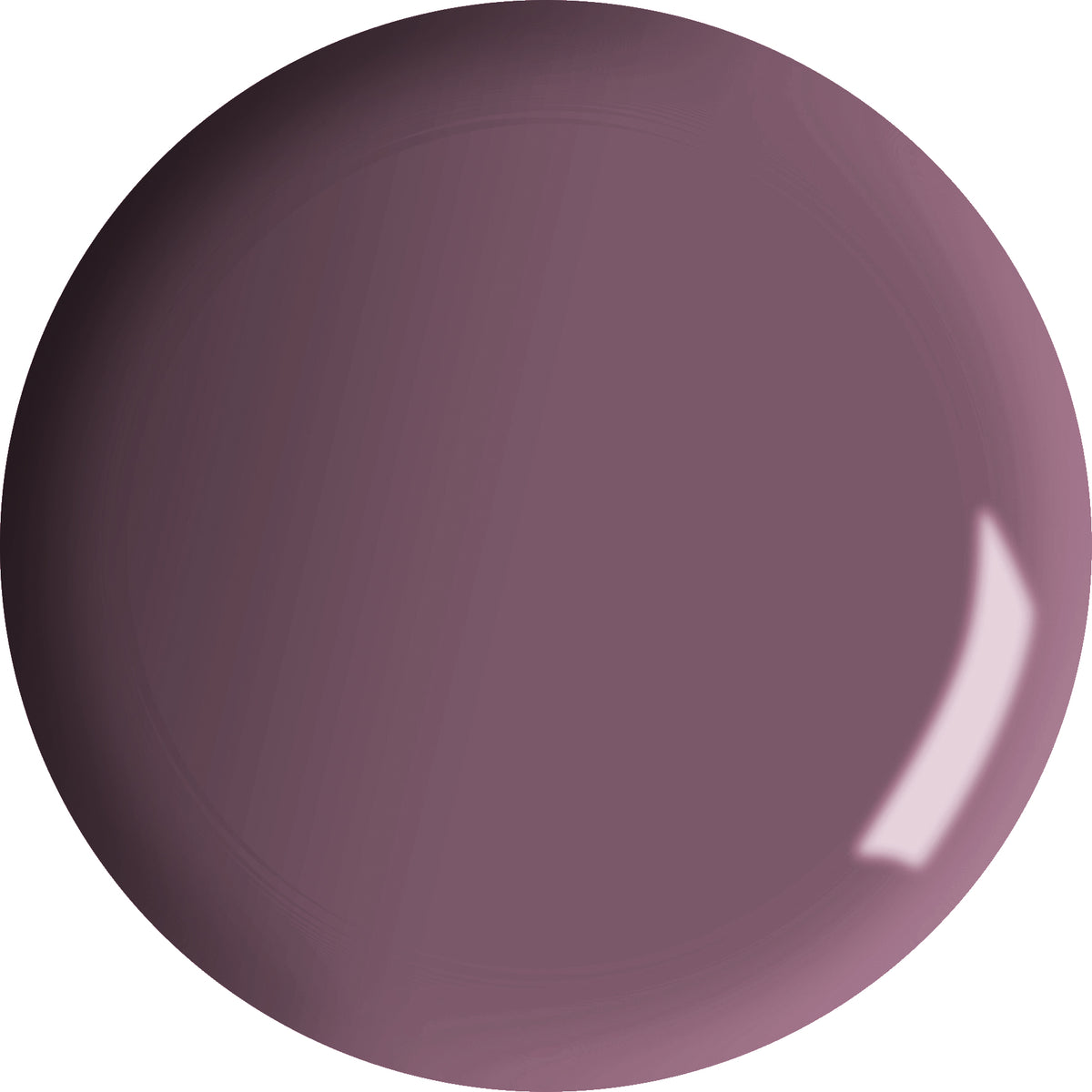 Vernis
