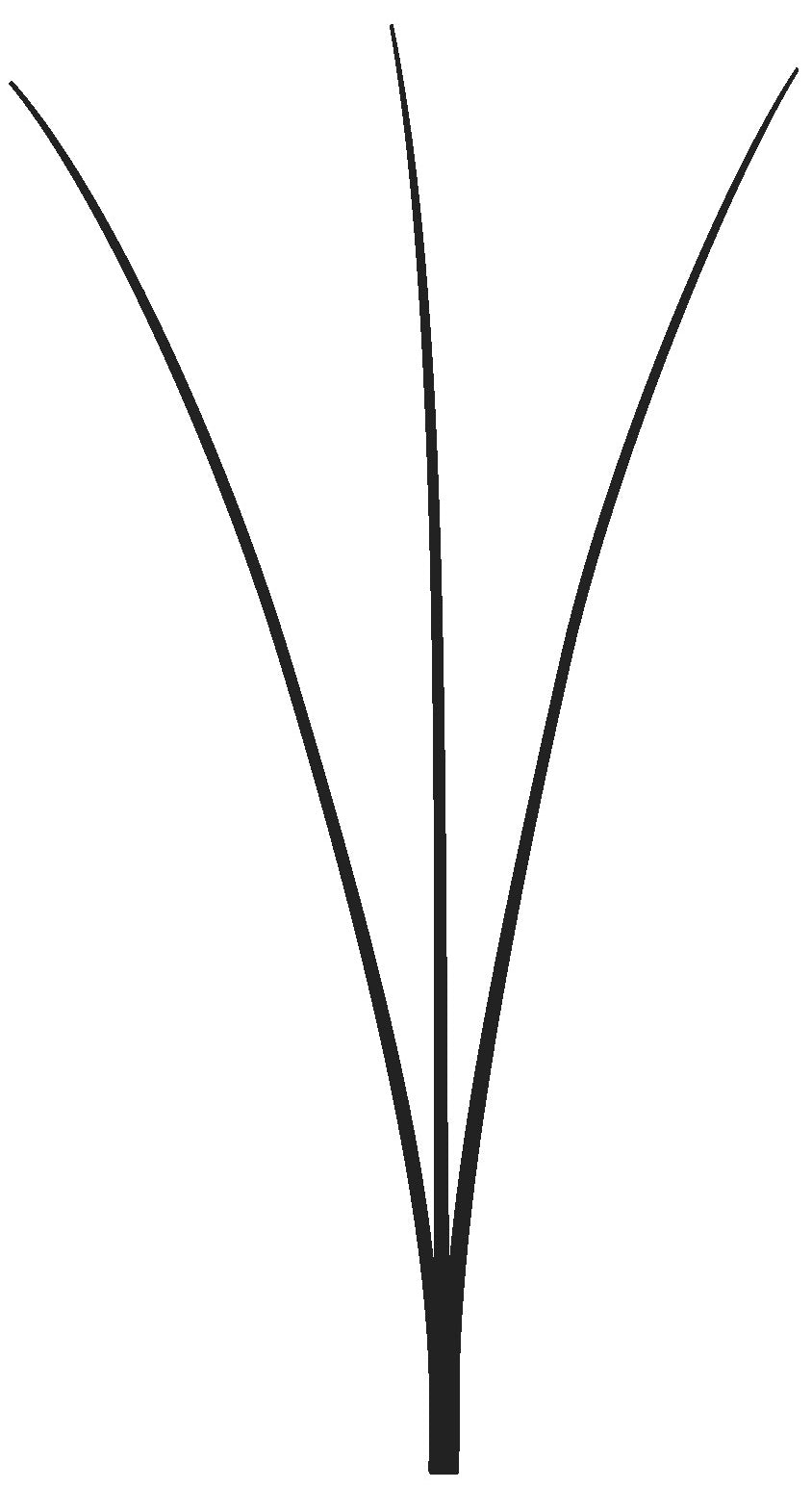 Easy Volume Lashes 3D - MIX-Box C-Curl
