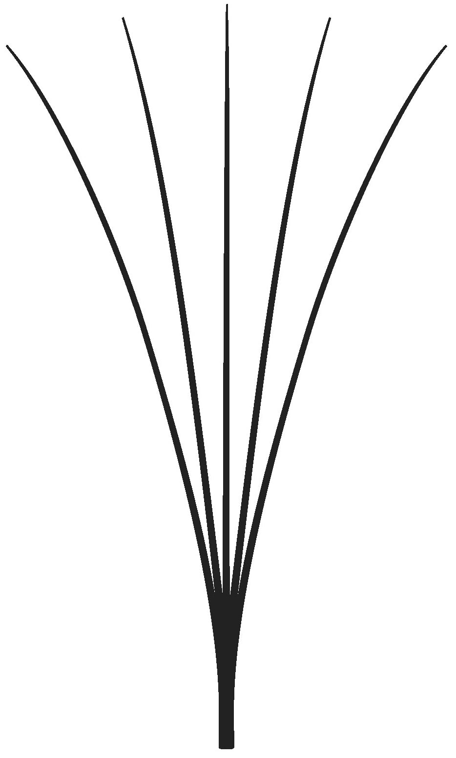 LASH beLONG Easy Volume Lashes 5D - MIX-Box C-Curl
