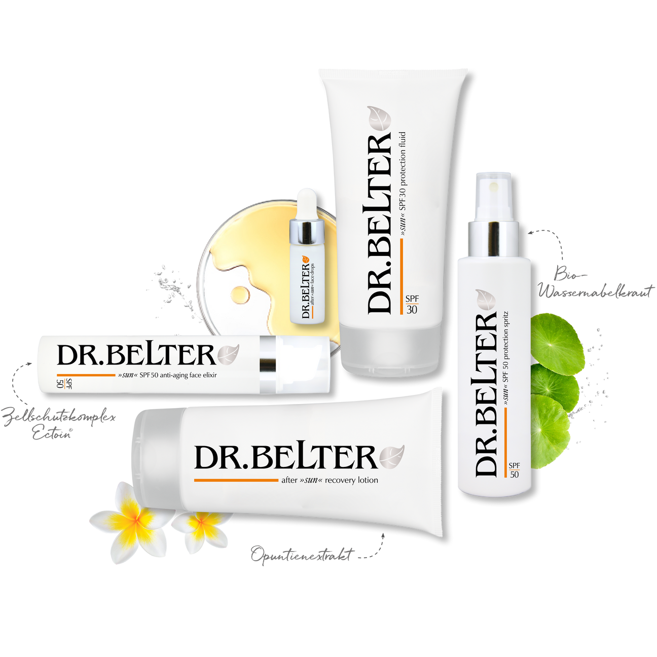 DR. BELTER SUN