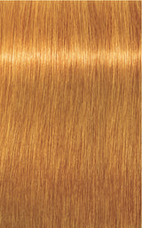 Igora Royal