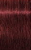 Igora Royal