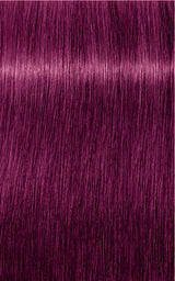 Igora Royal