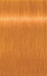 Igora Royal