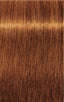 Igora Royal Absolutes