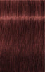 Igora Royal Absolutes
