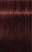 Igora Royal Absolutes