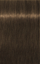 Igora Royal Absolutes