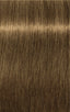 Igora Royal Absolutes