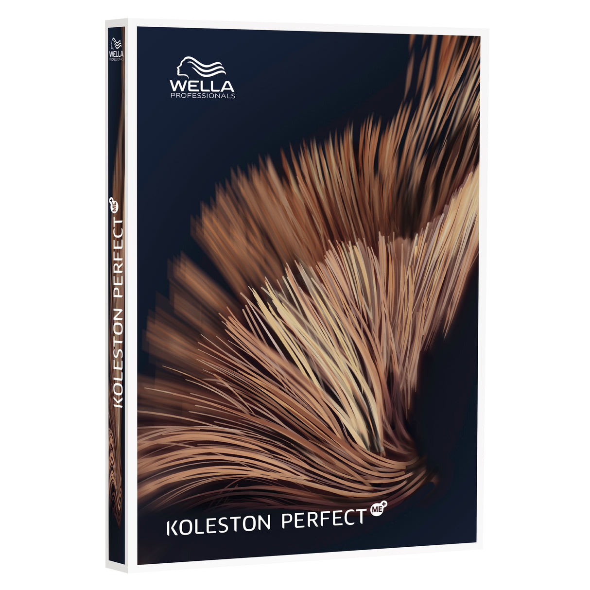 Koleston Perfect ME+ Farbkarte