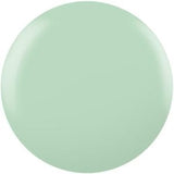 Shellac English Garden UV Color