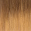 Extensions