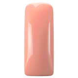 Magnetic Blushes Color