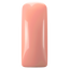 Blushes Color