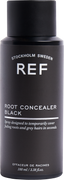 Root Concealer