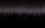 Free Extensions Glatt