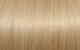 Free Extensions Glatt