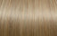Free Extensions Glatt