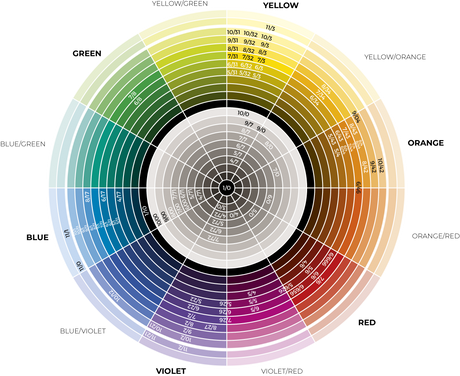Technofruit Color