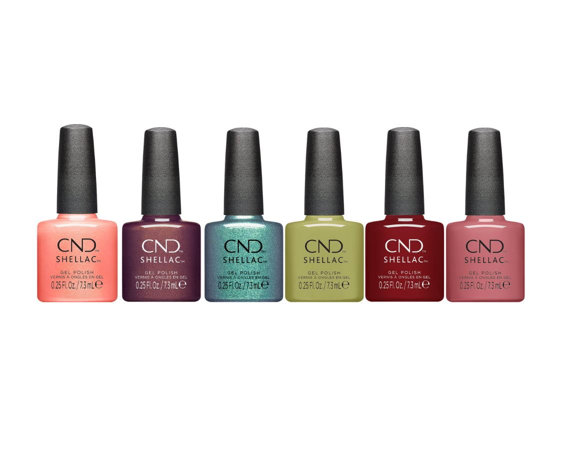 Shellac Dynamic Duality