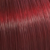 Color Touch Vibrant Reds