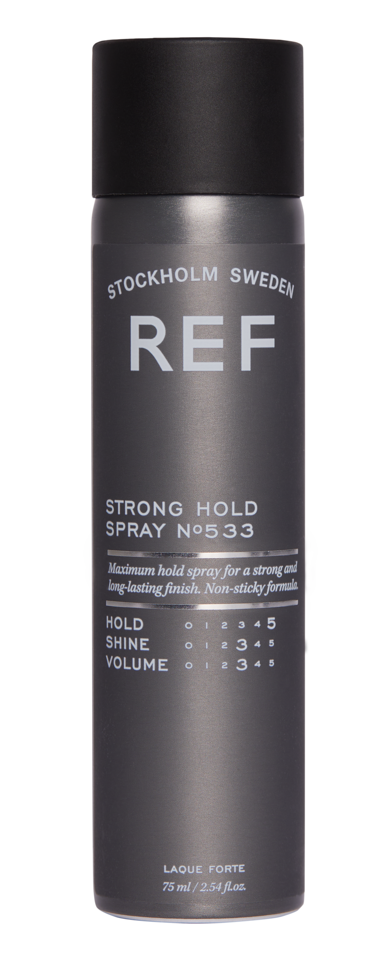 REF Strong Hold Spray N°533