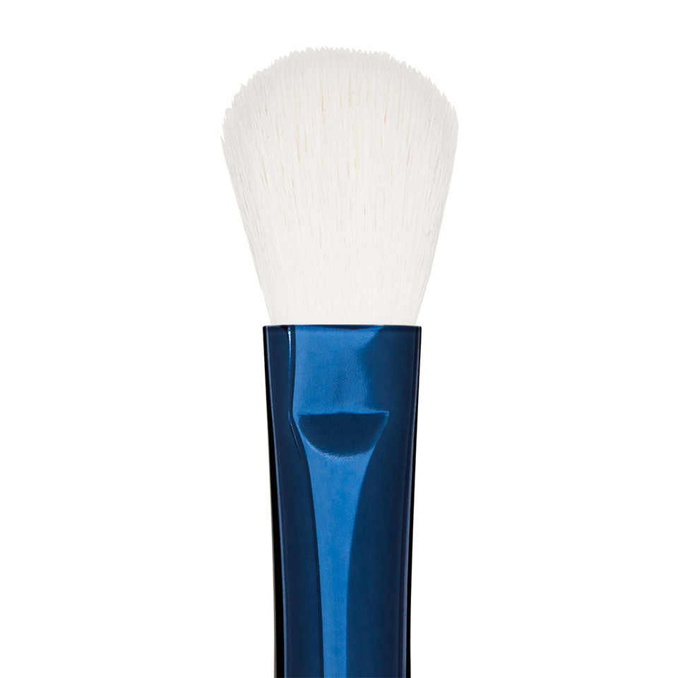 Blue Master