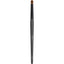 Artist Brush