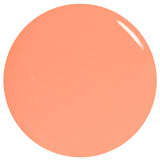 GelFX 2000s