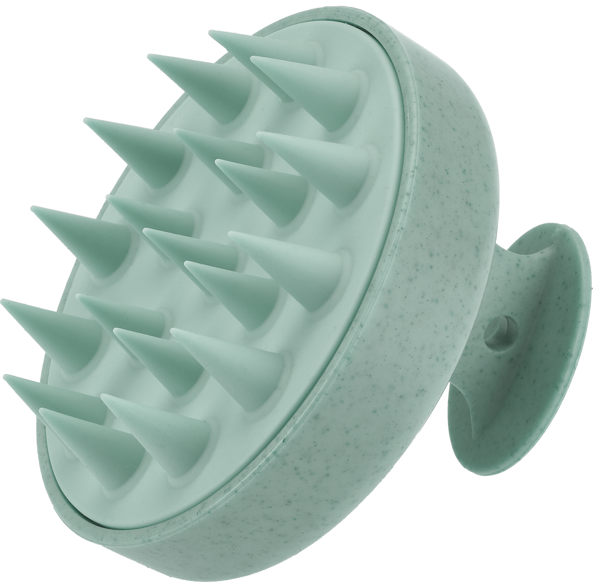 Green Shampooing Brush