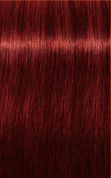 Igora Royal Fashion Lights