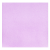 Papier filtre pour plateau 28 x 36 cm