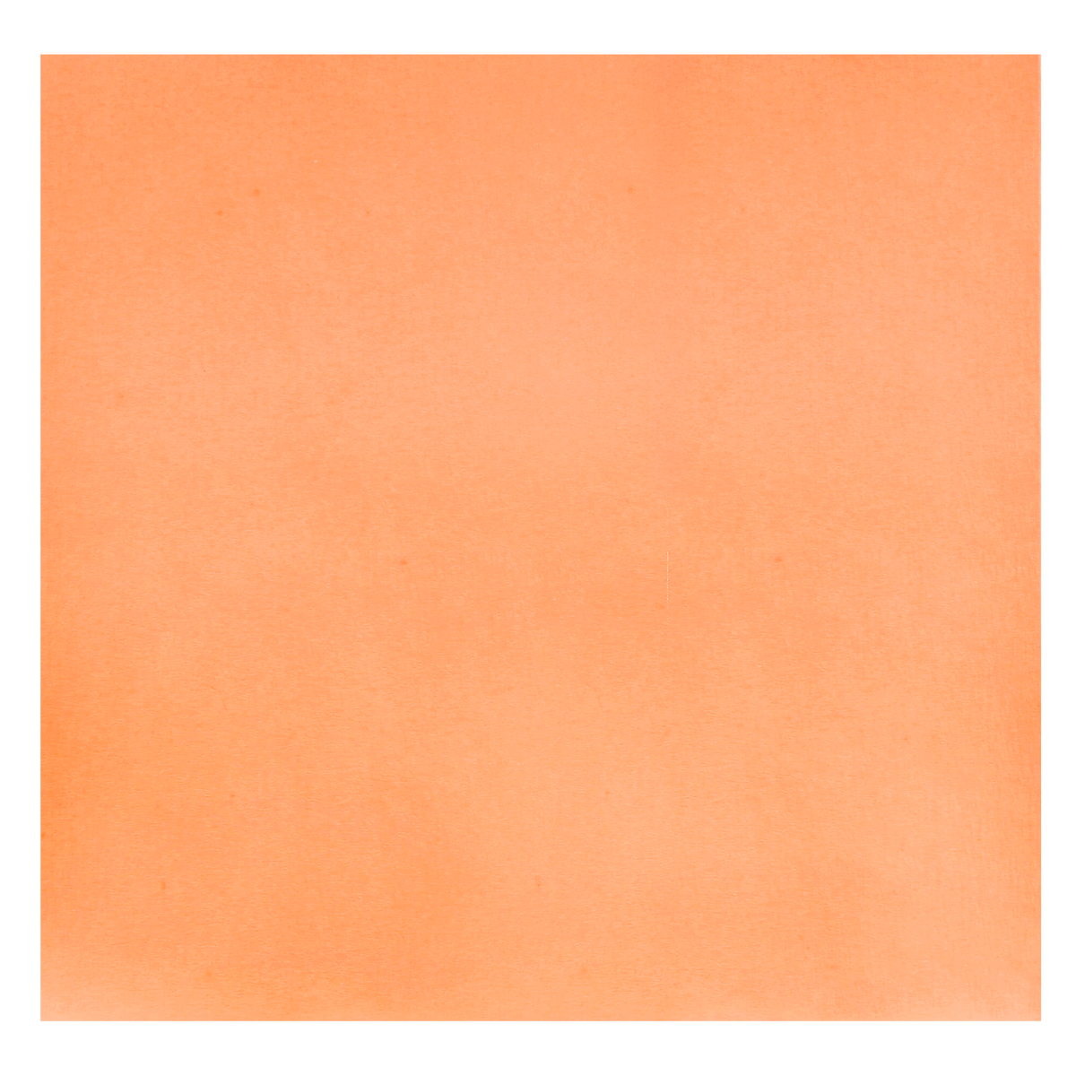 Papier filtre pour plateau 28 x 36 cm