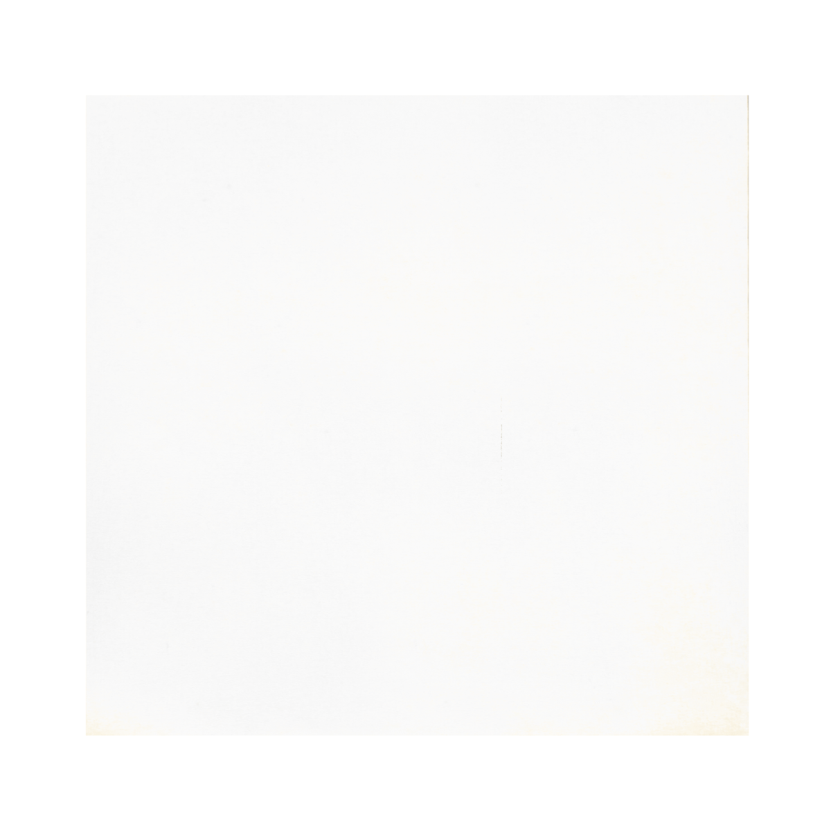 Papier filtre pour plateau 28 x 36 cm