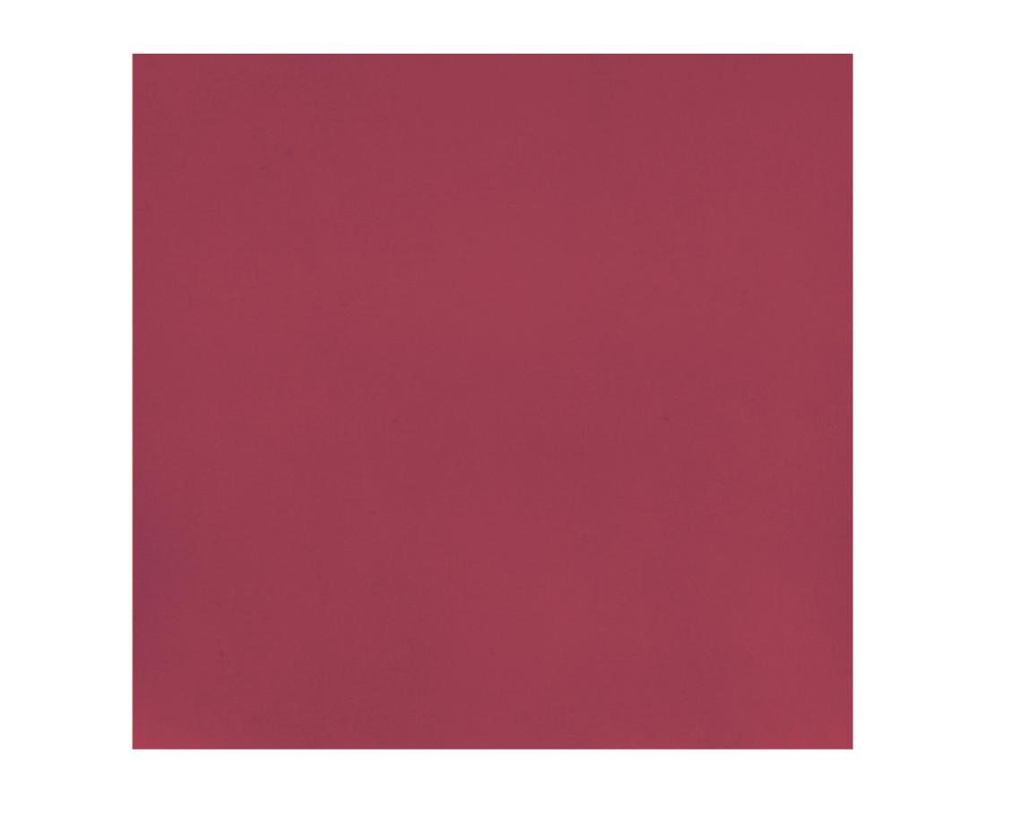 Papier filtre pour plateau 28 x 36 cm