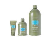 Curego Hydraday Shampoo