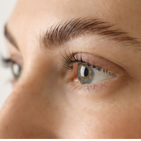 Lash & Brow Lifting