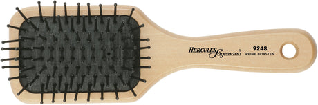 Paddle Brush