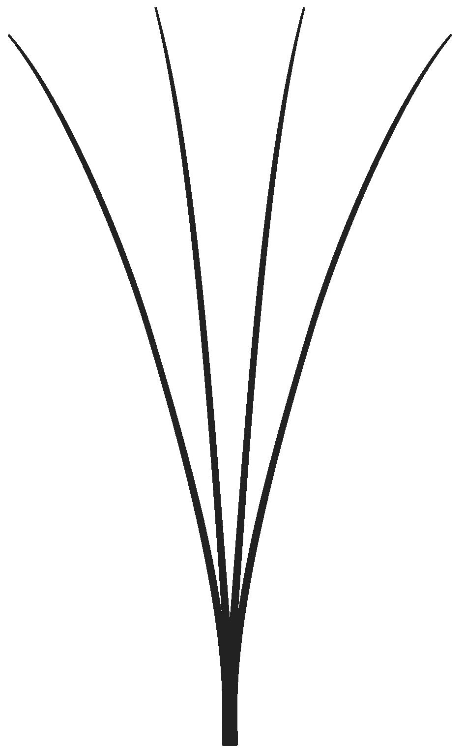 Easy Volume Lashes 4D - MIX-Box C-Curl