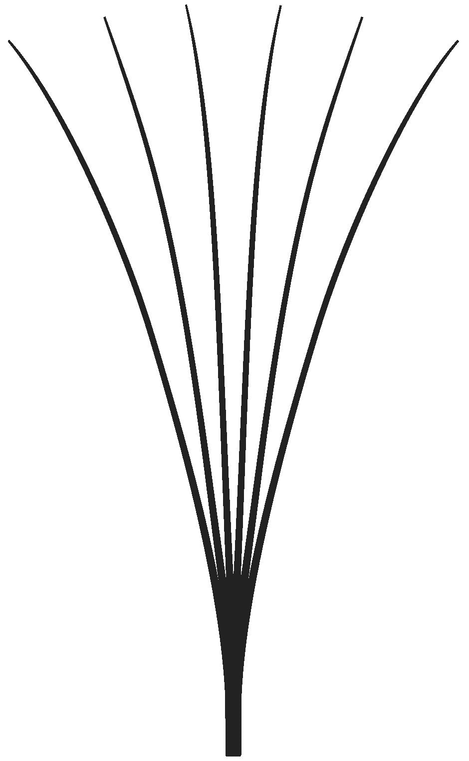 Easy Volume Lashes 6D - MIX-Box C-Curl